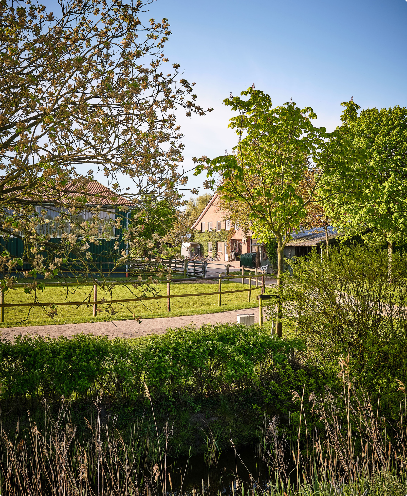 Blick auf den Traberhof zwischen Bäumen und Weiden