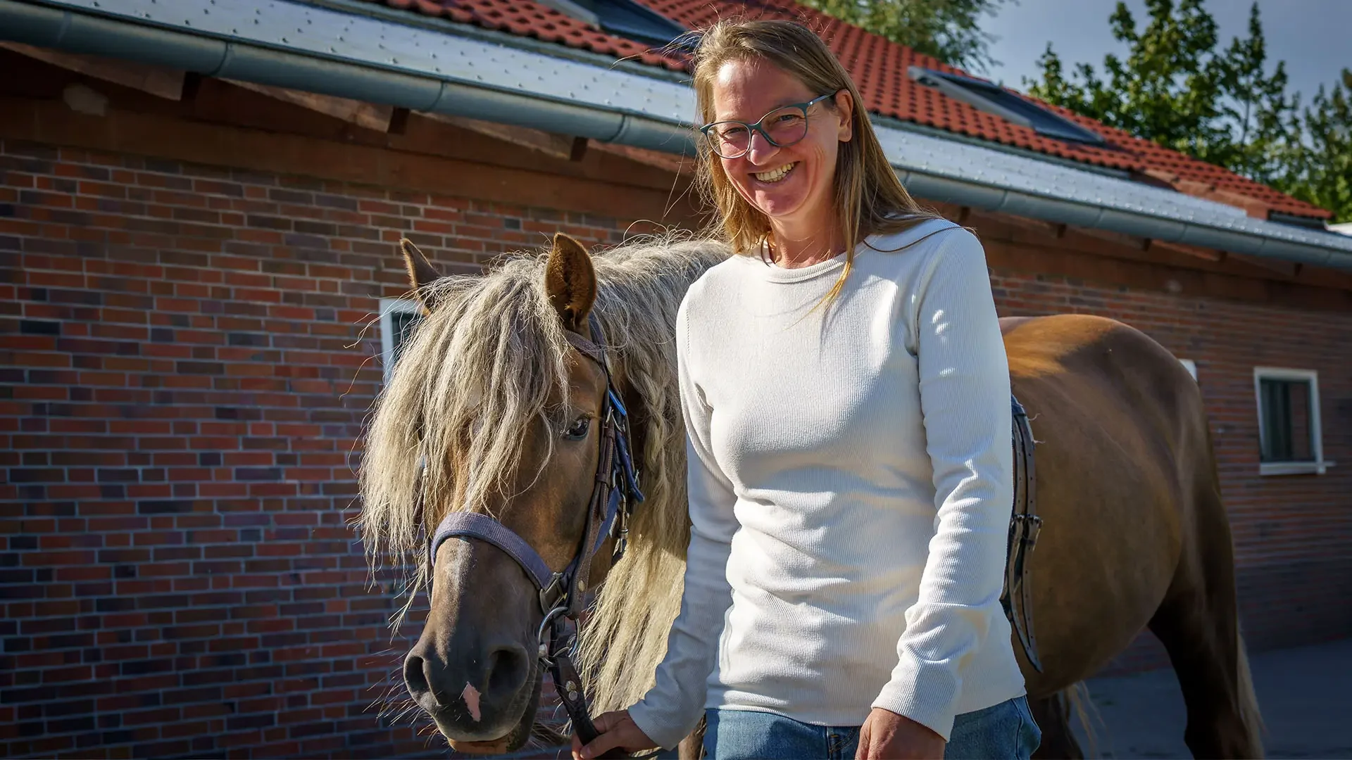 ReitZeit für Erwachsene