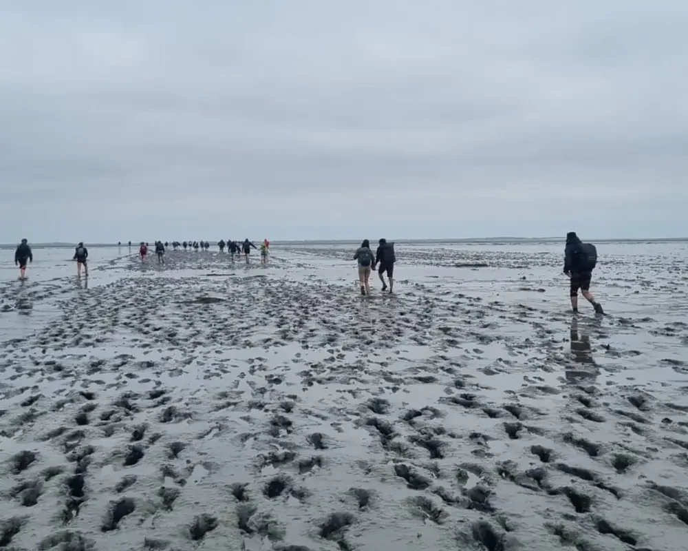 Wo der Horizont weiter wird